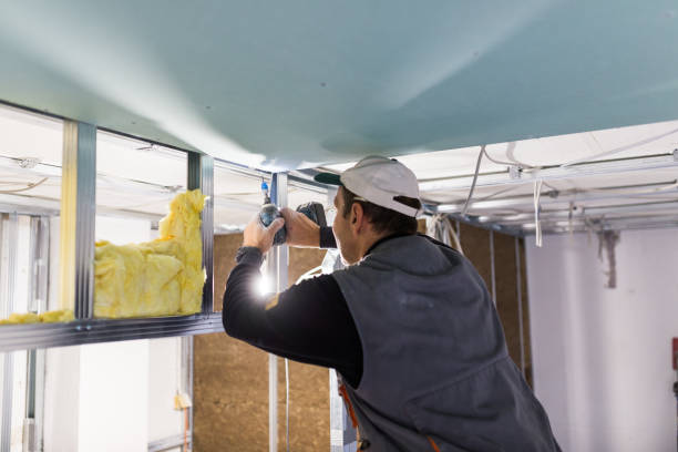 Best Local Insulation Services  in St Martins, MO