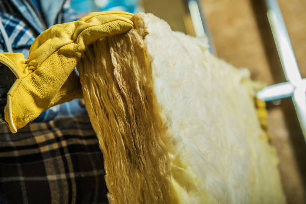 Insulation Repair Services in St Martins, MO