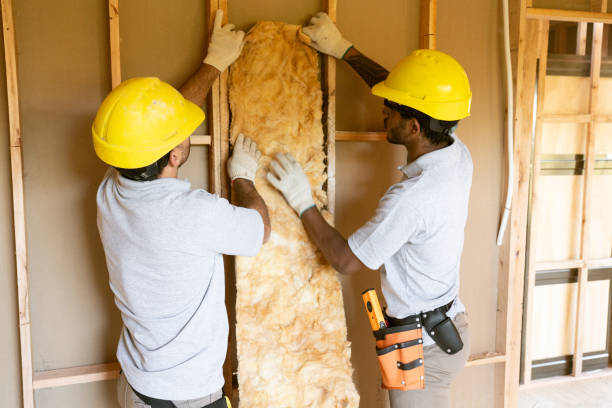 Best Blown-in Insulation  in St Martins, MO