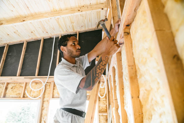 Best Insulation Removal  in St Martins, MO