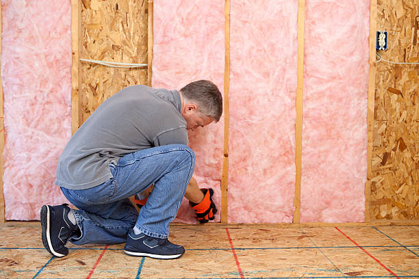 Best Soundproof Insulation Installation  in St Martins, MO