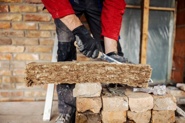 Best Cellulose Insulation  in St Martins, MO