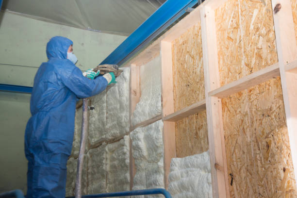 Insulation Contractors for Homes in St Martins, MO