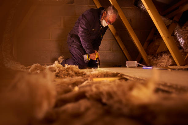 Best Professional Insulation Contractor  in St Martins, MO
