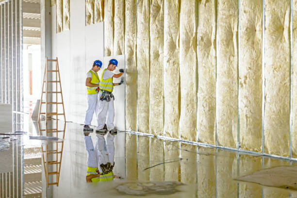 Best Garage Insulation Installation  in St Martins, MO